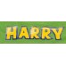 Toy Story Personalised Pyjama's